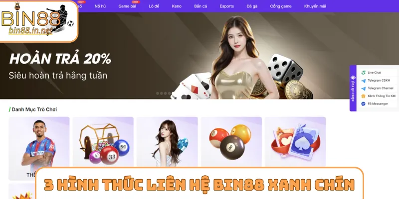 3 hình thức liên hệ Bin88 xanh chín cho newbie