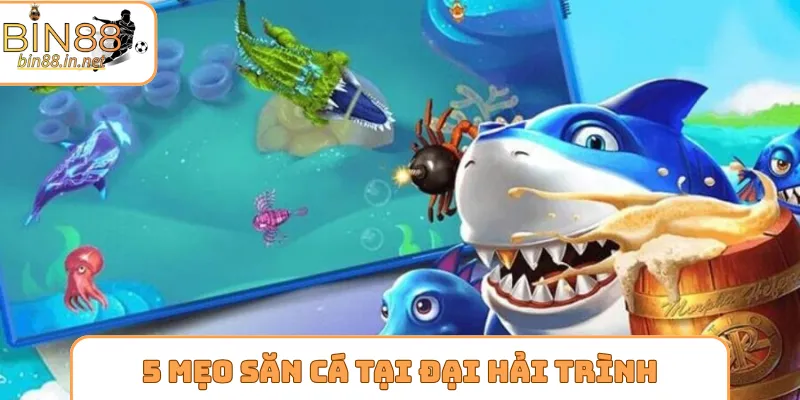 5 mẹo săn cá siêu đỉnh tại đại hải trình