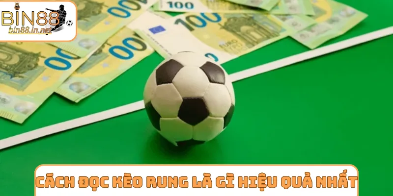 Cách đọc kèo rung là gì hiệu quả nhất