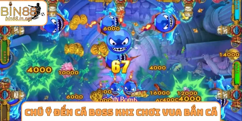 Chú ý đến cá boss khi chơi vua bắn cá