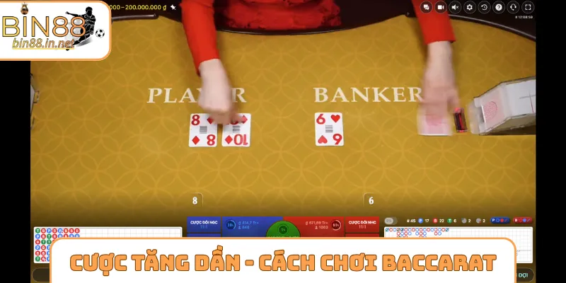 Cược tăng dần - Cách chơi Baccarat hiệu quả