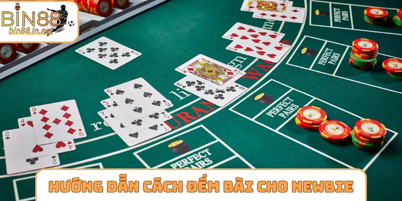 Hướng dẫn cách đếm bài cho newbie