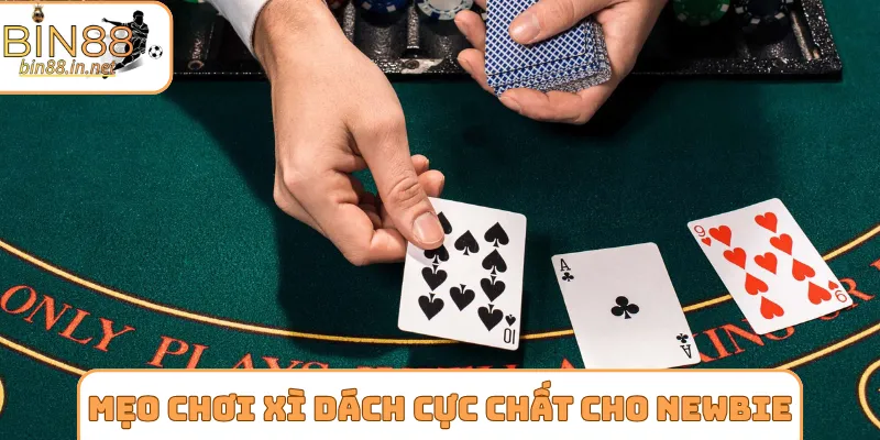 Mẹo chơi xì dách cực chất cho người mới